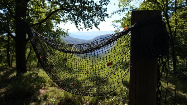 Top budget-friendly camo netting options for outdoor adventures
