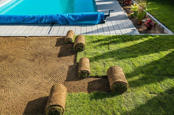 Effective strategies for relocation stress management